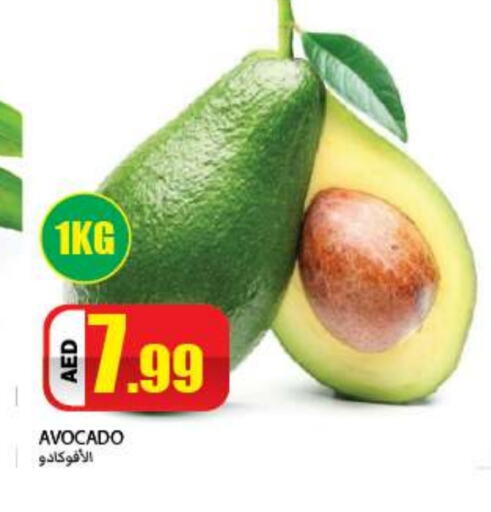 Avocado available at  روابي ماركت عجمان in الإمارات العربية المتحدة , الامارات - الشارقة / عجمان