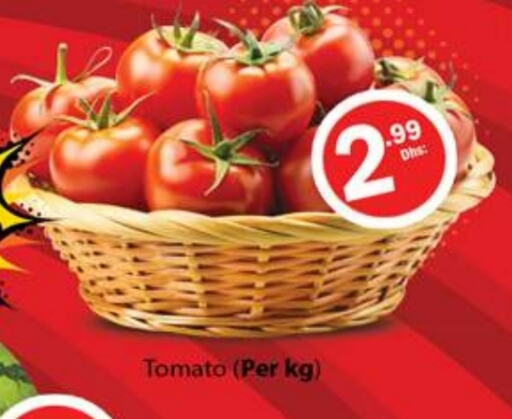 Tomato available at Gulf Hypermarket LLC in UAE - Ras al Khaimah