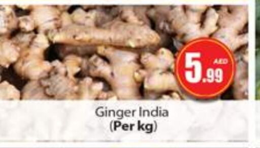 Ginger from India available at Gulf Hypermarket LLC in UAE - Ras al Khaimah