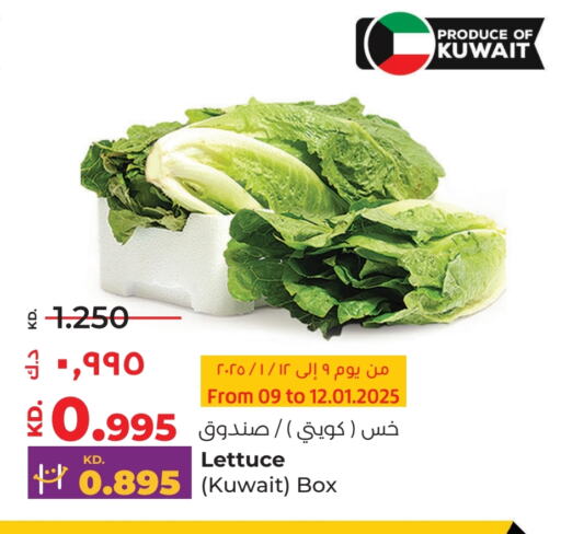 Lettuce from Kuwait available at لولو هايبر ماركت in الكويت - محافظة الجهراء