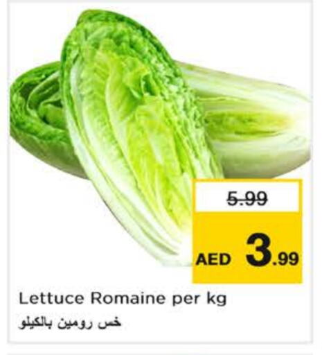 Lettuce available at Nesto Hypermarket in UAE - Abu Dhabi