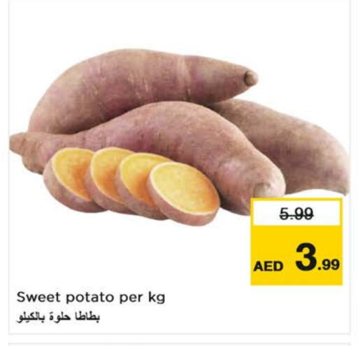 Sweet Potato available at نستو هايبرماركت in الإمارات العربية المتحدة , الامارات - دبي