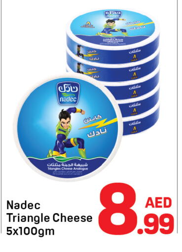 NADEC Triangle Cheese available at Day to Day Department Store in UAE - Dubai