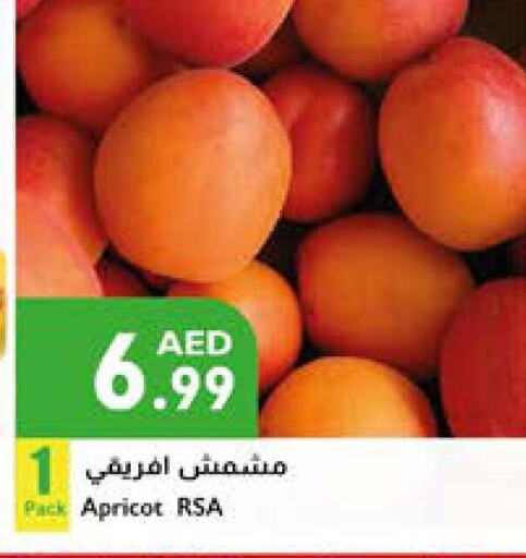 Apricot available at إسطنبول سوبرماركت in الإمارات العربية المتحدة , الامارات - الشارقة / عجمان