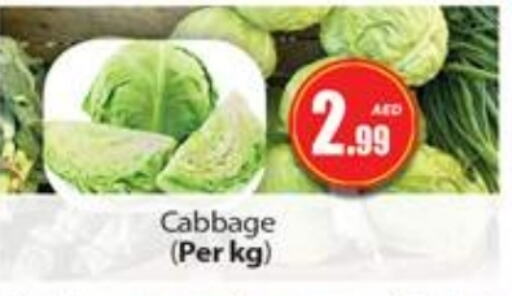 Cabbage available at Gulf Hypermarket LLC in UAE - Ras al Khaimah