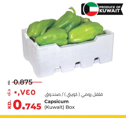 فلفل / فليفلة from Kuwait available at لولو هايبر ماركت in الكويت - مدينة الكويت