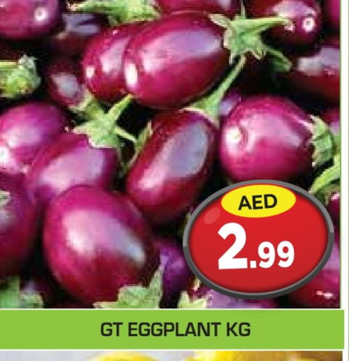 Eggplant available at سنابل بني ياس in الإمارات العربية المتحدة , الامارات - أم القيوين‎