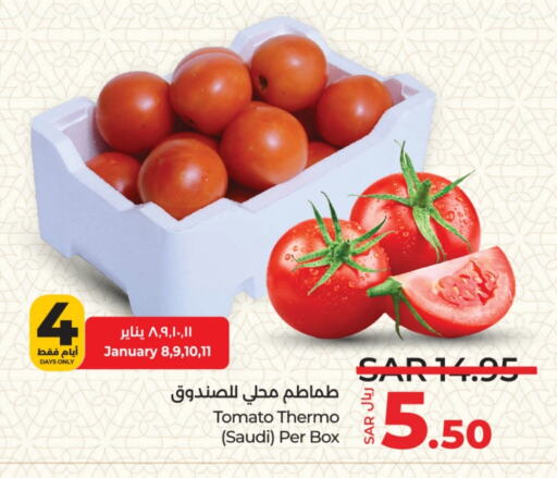 Tomato from Saudi Arabia available at LULU Hypermarket in KSA, Saudi Arabia, Saudi - Riyadh