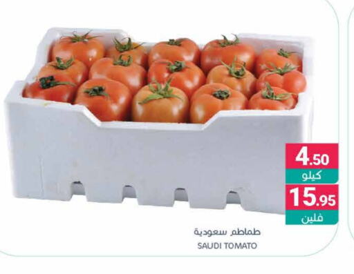 Tomato from Saudi Arabia available at Muntazah Markets in KSA, Saudi Arabia, Saudi - Dammam