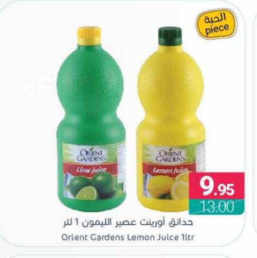 Lemon available at Muntazah Markets in KSA, Saudi Arabia, Saudi - Saihat