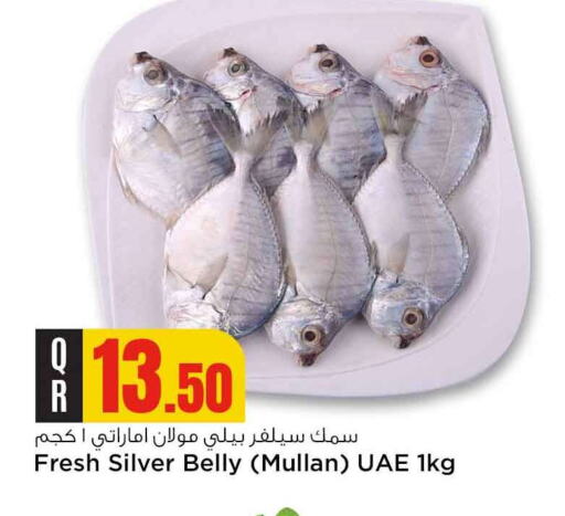 available at Safari Hypermarket in Qatar - Al Wakra