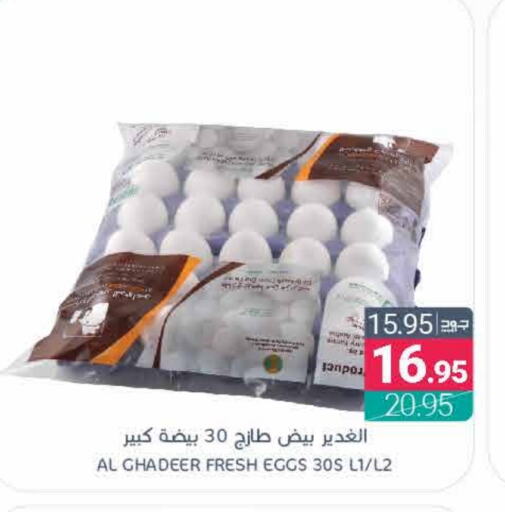 available at Muntazah Markets in KSA, Saudi Arabia, Saudi - Saihat