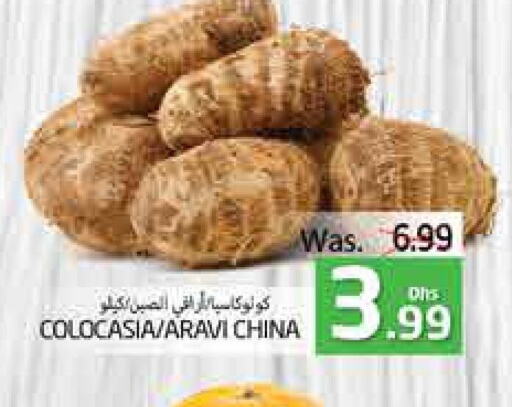 from China available at مجموعة باسونس in الإمارات العربية المتحدة , الامارات - ٱلْعَيْن‎