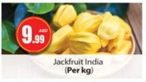 Jackfruit from India available at Gulf Hypermarket LLC in UAE - Ras al Khaimah