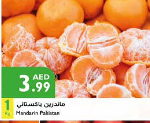 برتقال from Pakistan available at إسطنبول سوبرماركت in الإمارات العربية المتحدة , الامارات - ٱلْعَيْن‎