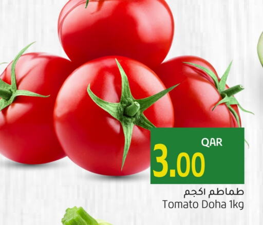 Tomato from Qatar available at Gulf Food Center in Qatar - Doha