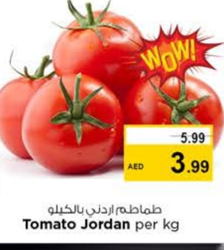 Tomato from Jordan available at Nesto Hypermarket in UAE - Sharjah / Ajman