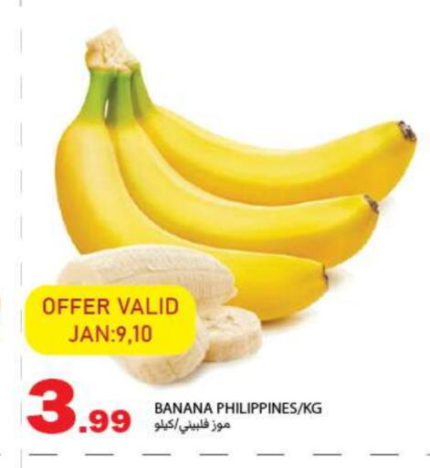 Banana from Philippines available at  روابي ماركت عجمان in الإمارات العربية المتحدة , الامارات - الشارقة / عجمان