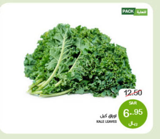 Kale available at  مـزايــا in مملكة العربية السعودية, السعودية, سعودية - القطيف‎