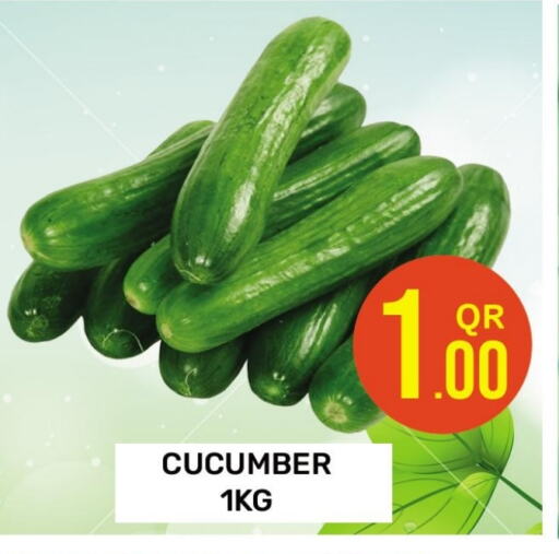 Cucumber available at Majlis Hypermarket in Qatar - Al Rayyan