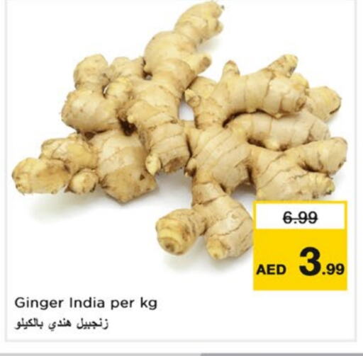 Ginger from India available at نستو هايبرماركت in الإمارات العربية المتحدة , الامارات - الشارقة / عجمان