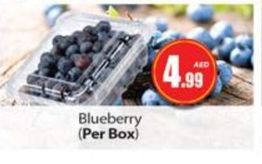 Blueberry BlueBerry available at Gulf Hypermarket LLC in UAE - Ras al Khaimah