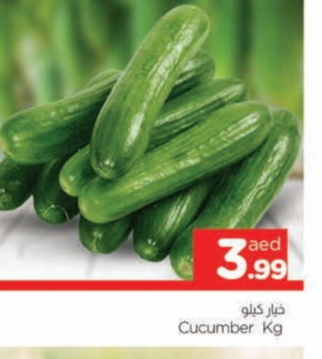 Cucumber available at المدينة in الإمارات العربية المتحدة , الامارات - الشارقة / عجمان