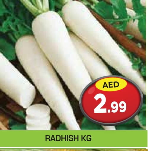 available at سنابل بني ياس in الإمارات العربية المتحدة , الامارات - أم القيوين‎