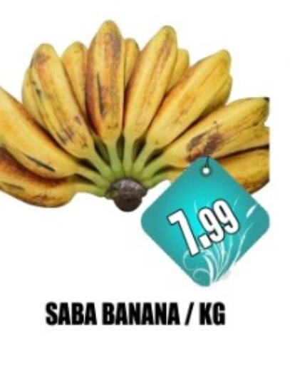 Banana available at Majestic Supermarket in UAE - Abu Dhabi