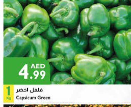 Chilli / Capsicum available at Istanbul Supermarket in UAE - Abu Dhabi