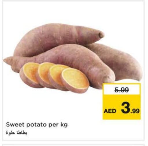 Sweet Potato available at نستو هايبرماركت in الإمارات العربية المتحدة , الامارات - الشارقة / عجمان