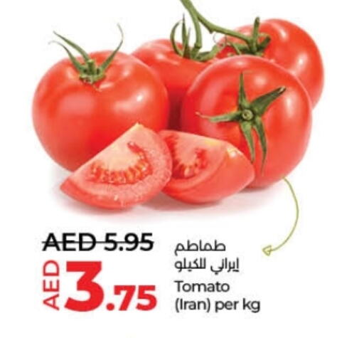 Tomato from Iran available at Lulu Hypermarket in UAE - Dubai