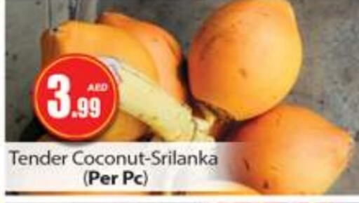 Coconut available at Gulf Hypermarket LLC in UAE - Ras al Khaimah