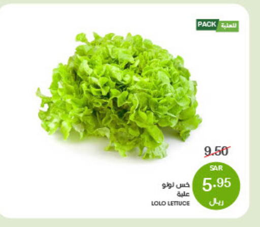 Lettuce available at  مـزايــا in مملكة العربية السعودية, السعودية, سعودية - القطيف‎