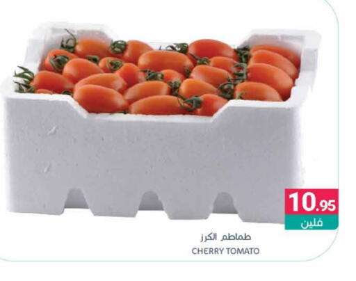 Tomato available at Muntazah Markets in KSA, Saudi Arabia, Saudi - Dammam