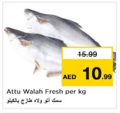 available at Nesto Hypermarket in UAE - Abu Dhabi