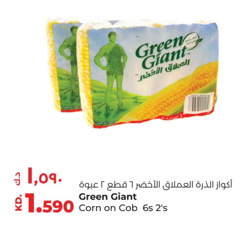 available at Lulu Hypermarket  in Kuwait - Ahmadi Governorate