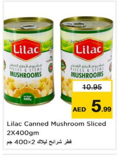 Mushroom available at نستو هايبرماركت in الإمارات العربية المتحدة , الامارات - أبو ظبي