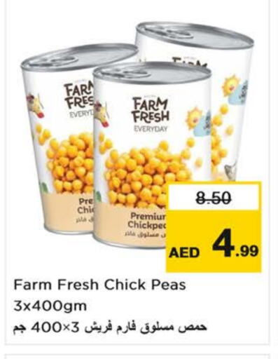 Chick Peas available at Nesto Hypermarket in UAE - Dubai