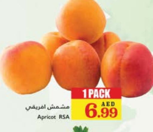 Apricot available at تروليز سوبرماركت in الإمارات العربية المتحدة , الامارات - الشارقة / عجمان