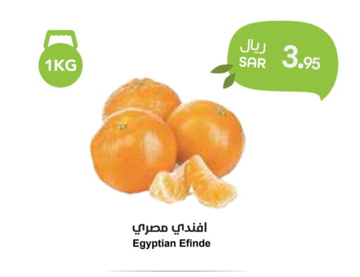 Orange from Egypt available at Consumer Oasis in KSA, Saudi Arabia, Saudi - Al Khobar