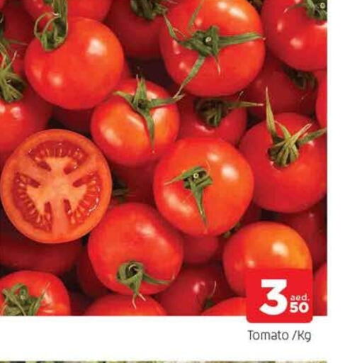 Tomato available at AL MADINA in UAE - Sharjah / Ajman