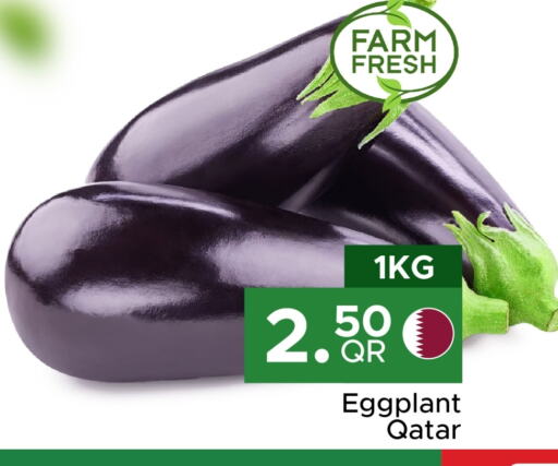 Eggplant from Qatar available at مركز التموين العائلي in قطر - الوكرة