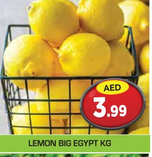 Lemon from Egypt available at سنابل بني ياس in الإمارات العربية المتحدة , الامارات - أم القيوين‎