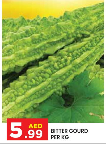 Gourd available at Baniyas Spike  in UAE - Abu Dhabi