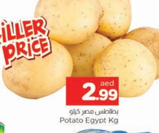 Potato from Egypt available at المدينة in الإمارات العربية المتحدة , الامارات - الشارقة / عجمان