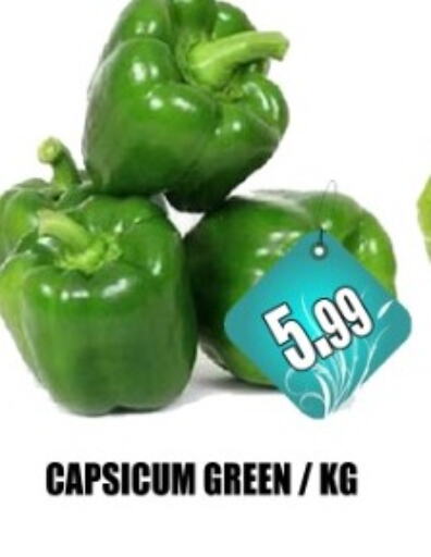 Chilli / Capsicum available at Majestic Supermarket in UAE - Abu Dhabi