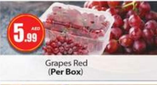 Grapes available at Gulf Hypermarket LLC in UAE - Ras al Khaimah