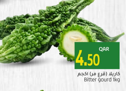 Gourd available at Gulf Food Center in Qatar - Al Rayyan