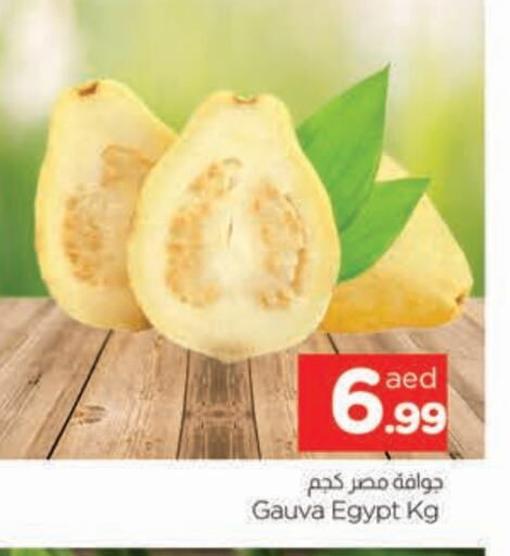 Guava from Egypt available at AL MADINA in UAE - Sharjah / Ajman